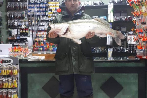 8501-600x400 PESCA SUL DANUBIO